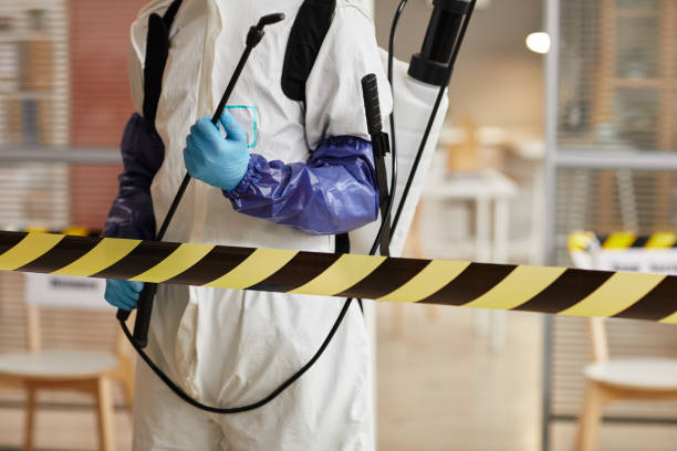 Professional Sewage Cleanup technician working in Springfield, NJ